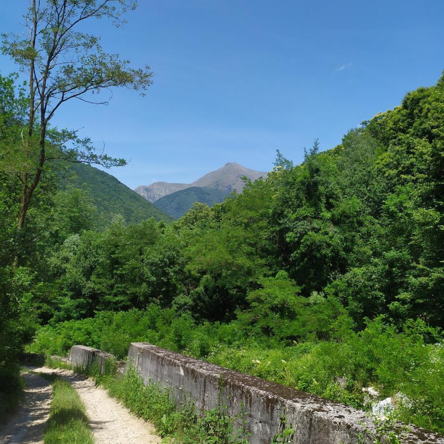 Casargo_Home エクステリア 写真